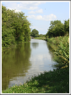 Ashby canal