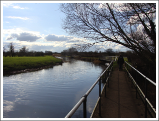 Trent & Mersey Canal, Wychnor