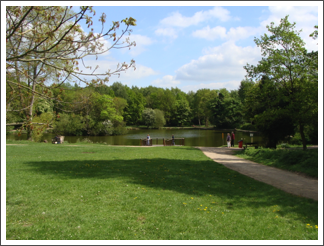Bosworth Park