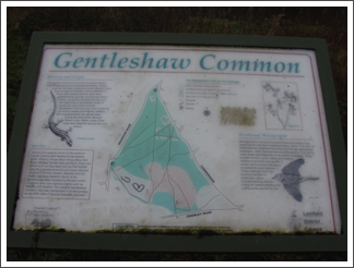 Gentleshaw Common