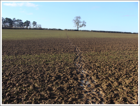 At least it's not recently ploughed