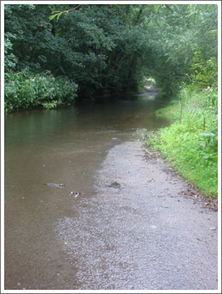 The ford, Rookery Lane, Hints (North)
