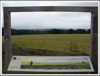 Bosworth Field: Out there!