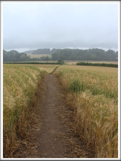 The yellow path
