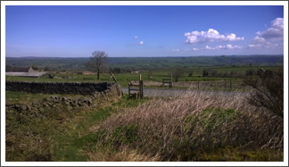 The view from the coffee stop