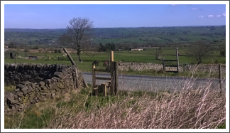 A new stile!