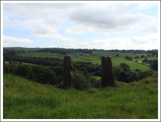 Whiston Common