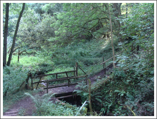 This is bridge of the day as we crossed it
