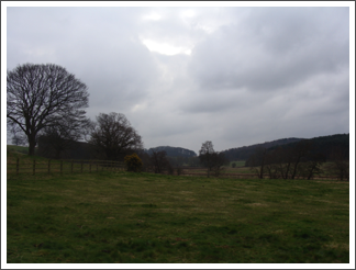 Black Brook Valley
