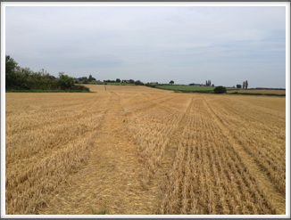 Leicestershire expanse
