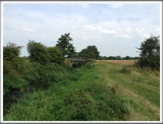 Bridge of the day 2014