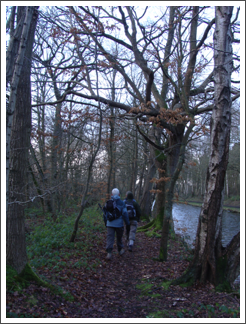 Canalside path