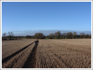 A bit of Straggling