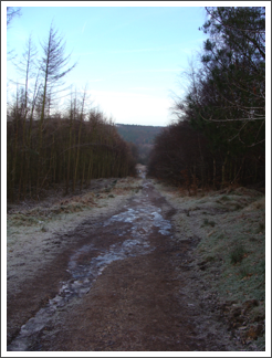 Down the long slippy path