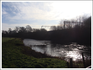 The Trent