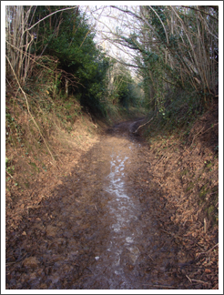Dark Lane. Definitely unsuitable for vehicles