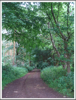 Whittington Common Road