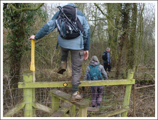 Another eager entrance to Holly Wood Another eager entrance to Holly Wood