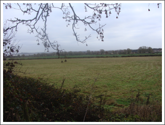 Soon to be houses
