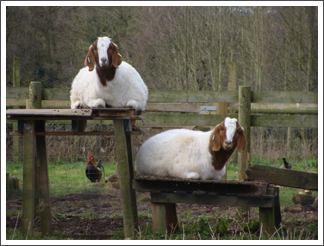 Today's cuties