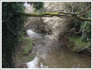 The Swarbourn, Yoxall