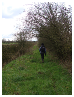 Brick Kiln Lane (Barton Gate)