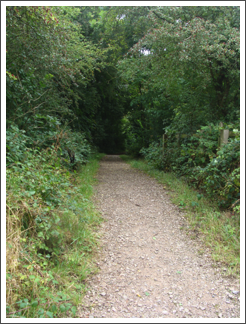 More development of the Ticknall Tramway