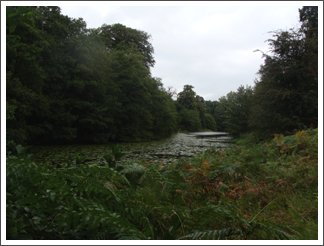 Mere Pond, Calke Abbey