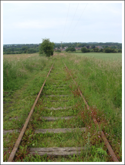 Bottom tracks