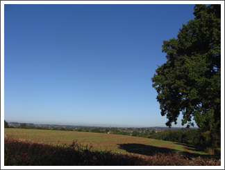 Bromsgrove