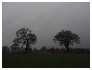 Rugeley Power Station