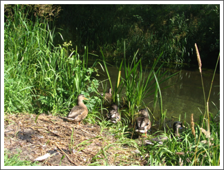 A group of cuties