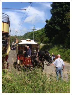 It's Sheffield No.15
