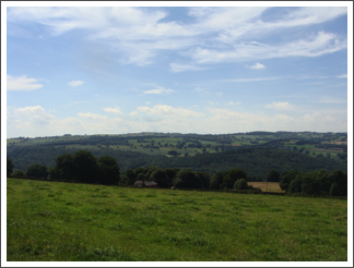 Shining Wood, Amber Valley