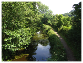 Back to the canal
