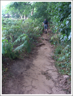 Ascending to Firestone hill