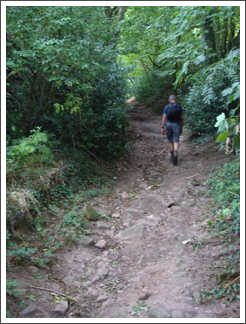 Now ascending Longwalks Lane