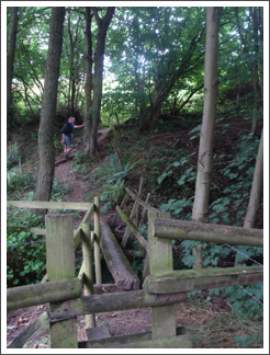 Hole Cottage Foot Bridge