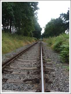 Crossing the EVR: Just in time to see…