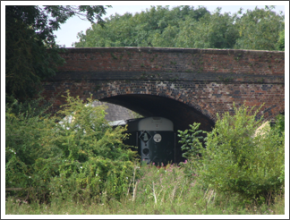 D8098 now carried a Dalek