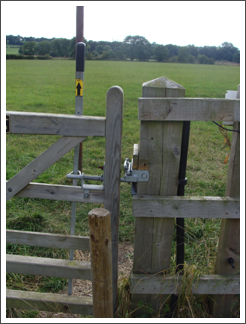 An impeded bi-directional