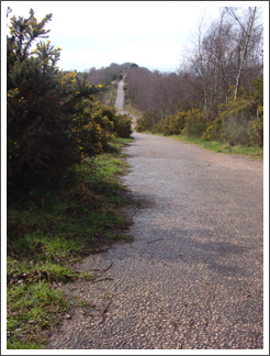 The fall & rise of Knox's Grave Lane
