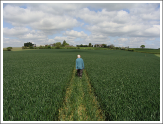 Crossing Leicestershire expanse