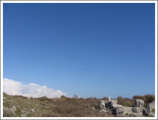 A speck in the sky