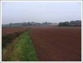 Towards Cockey Barn Farm