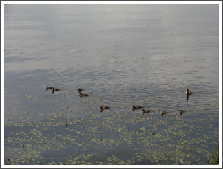 Family outing