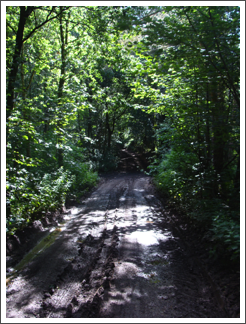 Barkers Lane