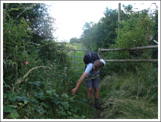 Secateurs out