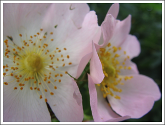 A touch of colour
