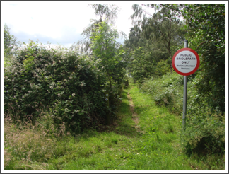 New restriction